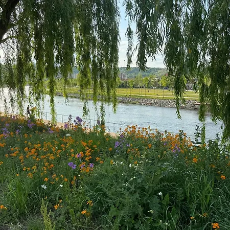 Apartment Serenity Garden Walking 2 Untold *