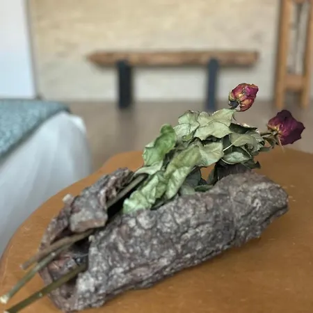 Serenity Garden Walking 2 Untold Appartement