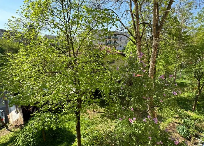 Daire Serenity Garden Walking 2 Untold Kaloşvar