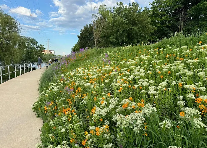 Serenity Garden Walking 2 Untold كلوج-نابوكا