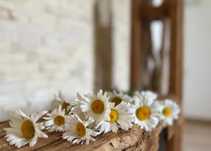 Serenity Garden Walking 2 Untold شقة كلوج-نابوكا