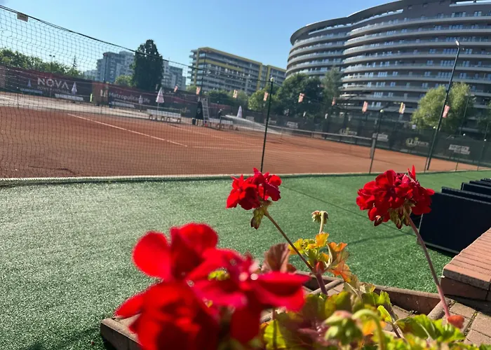 Serenity Garden Walking 2 Untold Cluj-Napoca