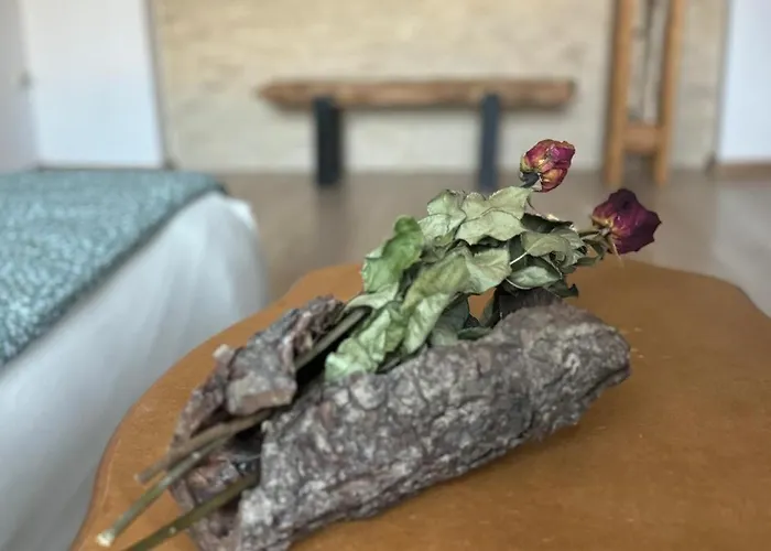 Serenity Garden Walking 2 Untold Daire